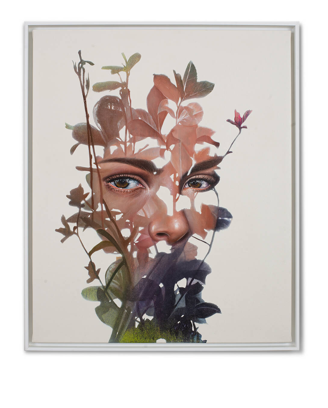 Natures view / Dounia